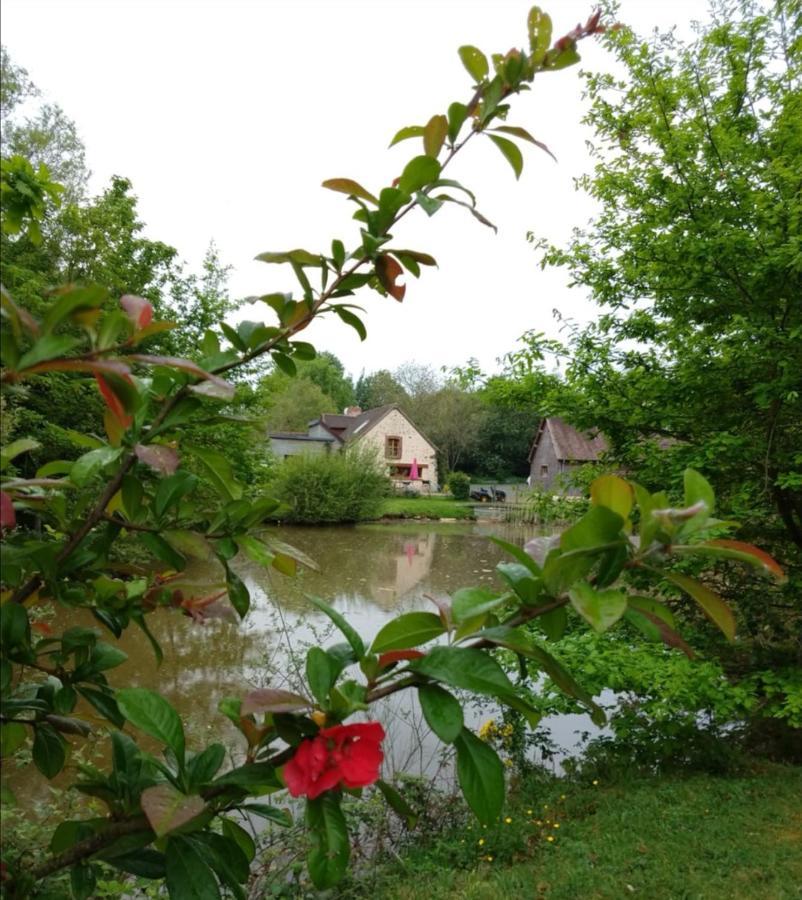 24H Le Mans - Les Haies Gite, Near Le Mans Circuit Villa Coulans-sur-Gee Exterior photo